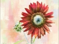 Red Sunflower