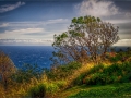 View in Hawaii