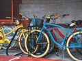 Bikes at Flagler College