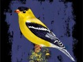 American Goldfinch